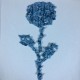 Bow Azure